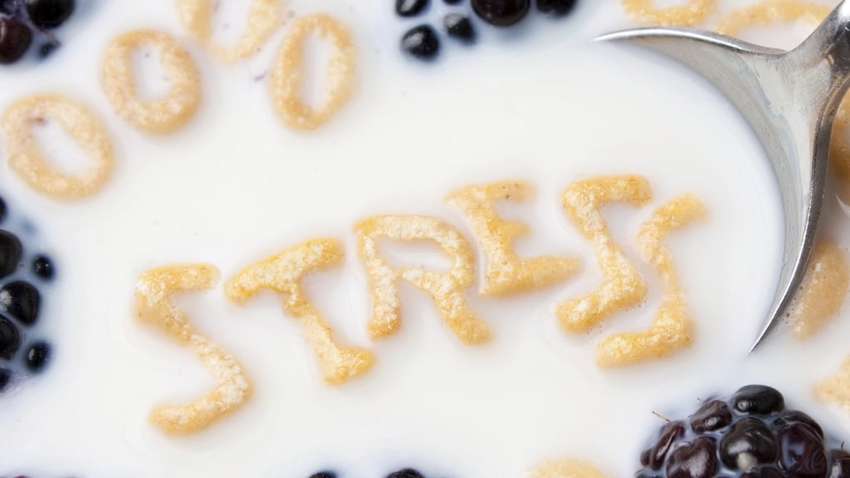 5 продуктов для снятия стресса