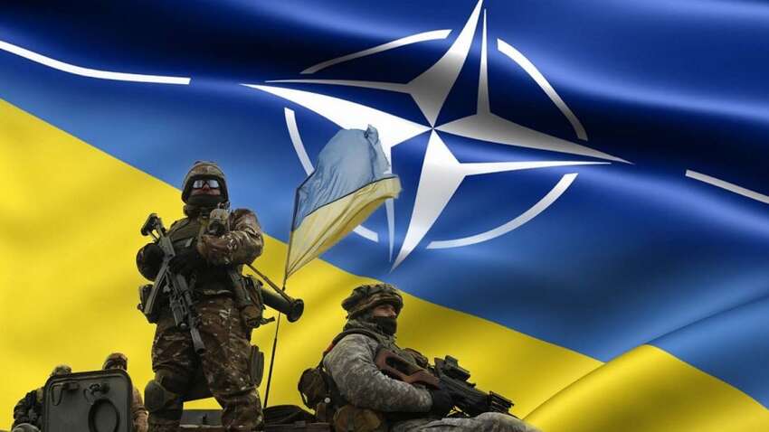 Украина может выступить лидером НАТО: эксперт назвал неожиданную причину 