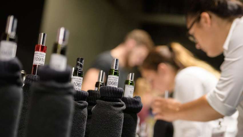 Покоряют мир: украинские вина SHABO завоевали 8 наград на международном Mundus Vini 2020 