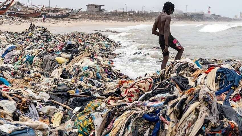 Больше не сожгут ни одной куртки: ЕС запретил уничтожать непроданную одежду