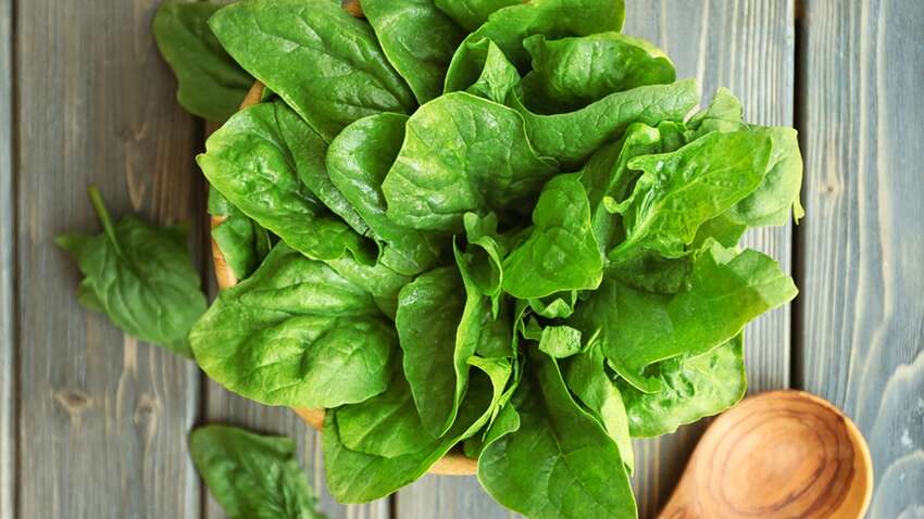 Заготовить щавель на зиму просто: ТОП-5 идеальных способов Заготовить щавель на зиму просто: ТОП-5 идеальных способов