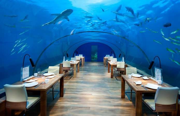 Необычные рестораны мира, которые, однозначно, стоит посетить Необычные рестораны мира, которые, однозначно, стоит посетить
