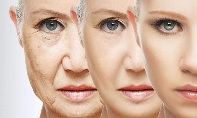 Експерти назвали фрукт, який уповільнює старіння