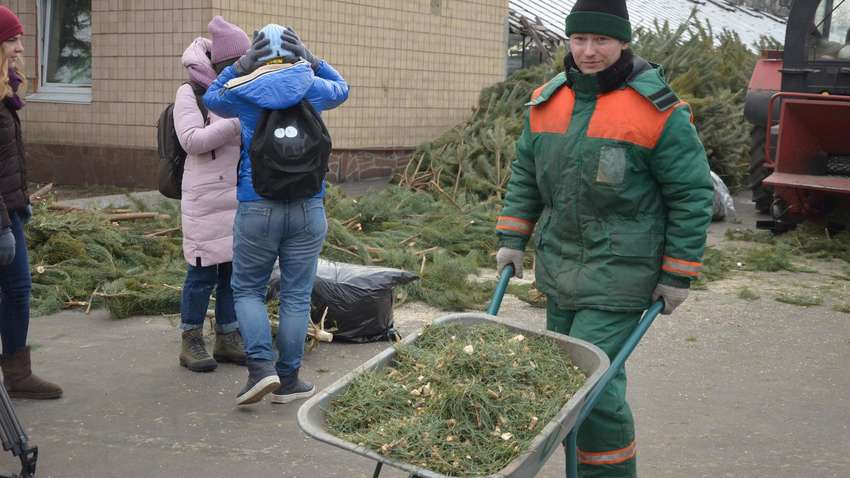 В Україні вирішили міняти новорічні ялинки на цукерки