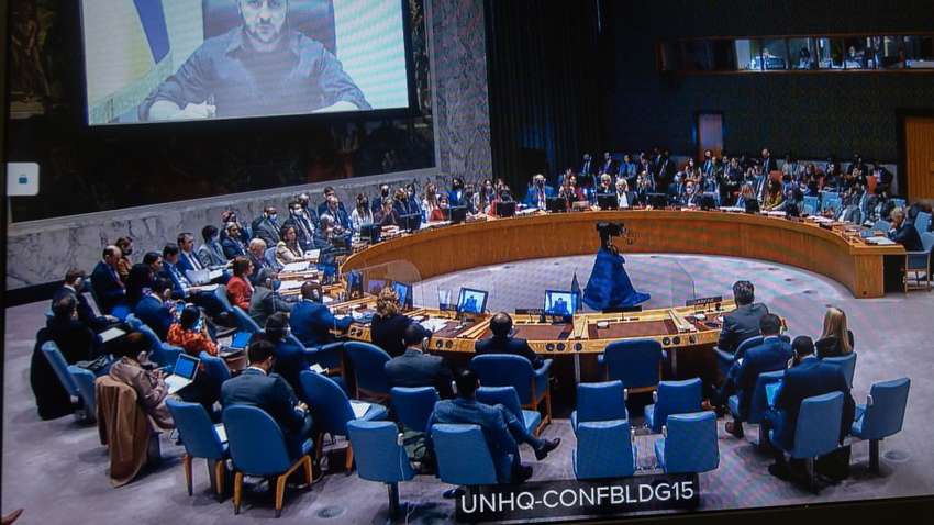 На ООН надеяться не стоит: почему РФ не уберут из Совбеза ООН – какая польза от такой организации