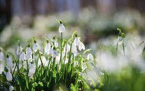 Які свята відзначають 14 березня: від мужності добровольців до геніальності Ейнштейна Які свята відзначають 14 березня: від мужності добровольців до геніальності Ейнштейна