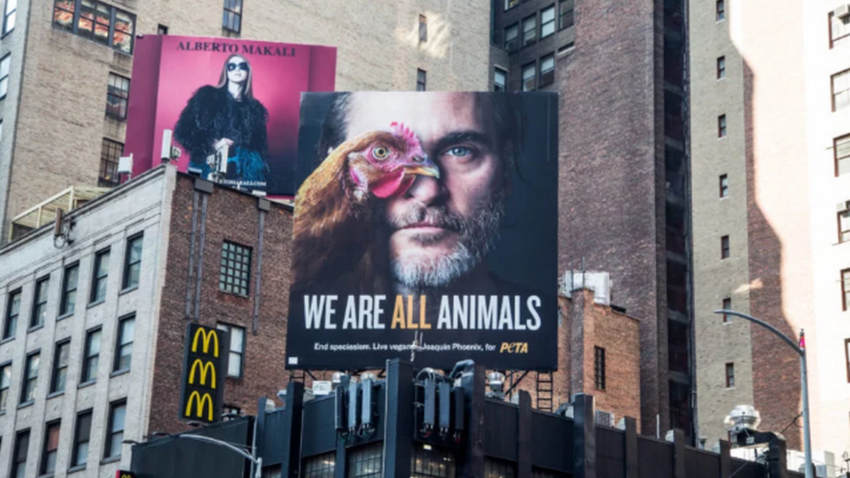 «Джокера» Хоакина Феникса признали "Человеком года" по версии PETA