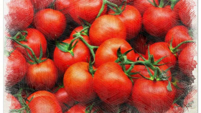 Помидоры в Украине резко подскочили в цене 