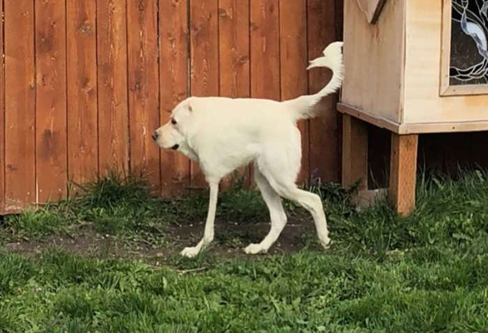 "Циклоп", "чужой", "многоножка" - эпические фиаско с панорамными снимками (фото)