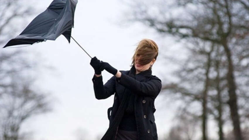 Пик тепла пройден: в Украину возвращается свежесть и порывистый ветер