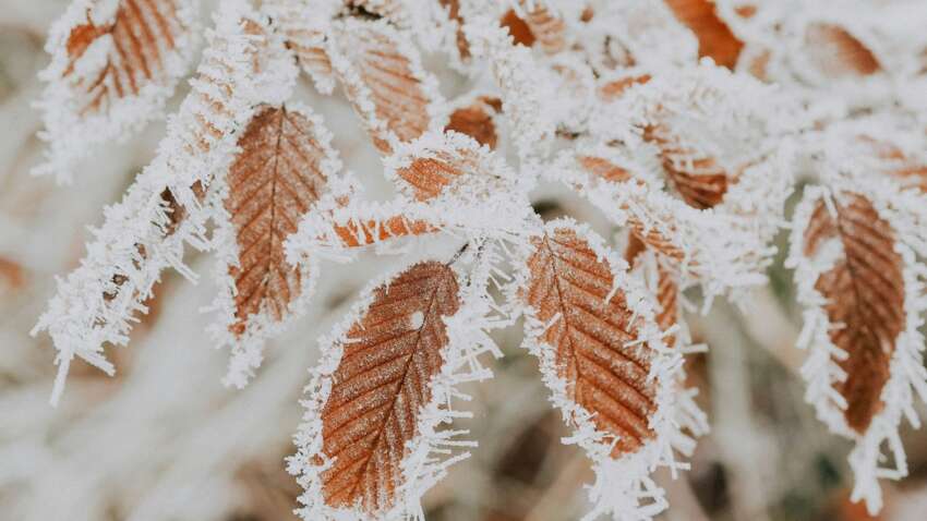 Церковный праздник 28 февраля: что сделать, чтобы ваш дом был наполнен здоровьем и благополучием