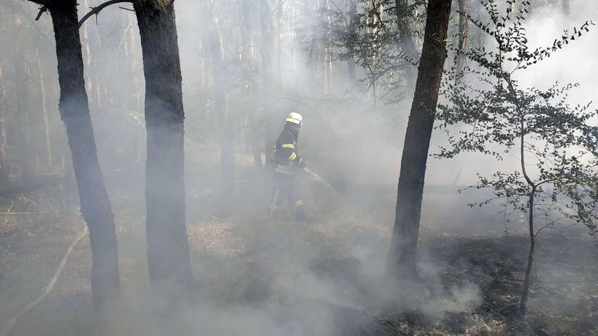 В Днепропетровской области из-за пожаров объявлен режим ЧП 