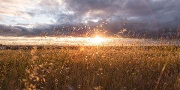 В Україні перемішаються пори року – яким областям загрожує "погодний екстрім"