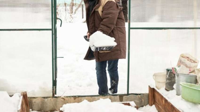 Бесплатный «летний дождь» в твоем дворе: 7 неожиданных способов использовать снег в хозяйстве — реально работающие Бесплатный «летний дождь» в твоем дворе: 7 неожиданных способов использовать снег в хозяйстве — реально работающие