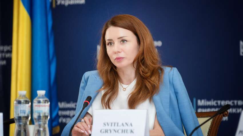 Министр экономики похвасталась колье Cartier за 45 прожиточных минимумов Министр экономики похвасталась колье Cartier за 45 прожиточных минимумов