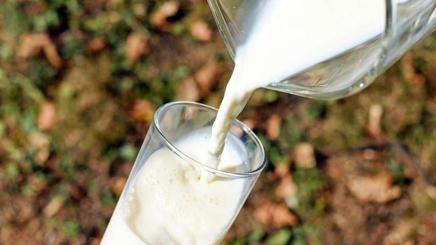 «Это самая большая ложь»: врач развеял миф о пользе молока «Это самая большая ложь»: врач развеял миф о пользе молока