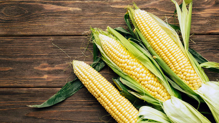 В США создают реактивное топливо из кукурузных отходов