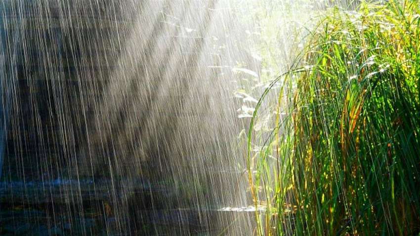 Синоптики рассказали, какой будет погода в июле