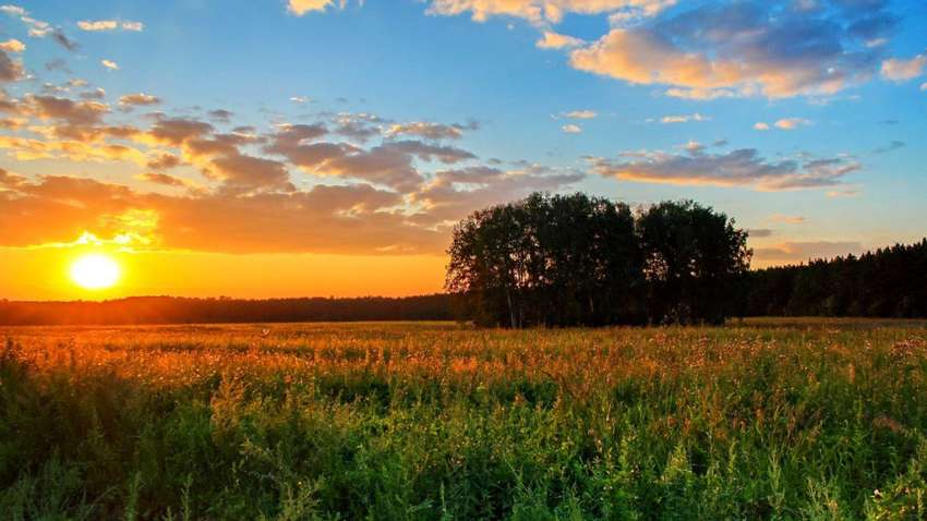 В Україну йде нова хвиля африканської спеки: метеоролог розповіла, що буде з погодою В Україну йде нова хвиля африканської спеки: метеоролог розповіла, що буде з погодою