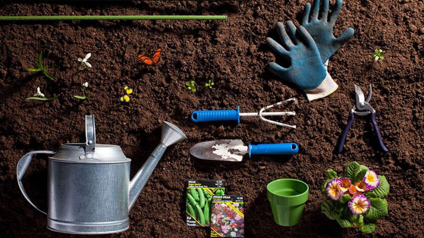 Не робіть цього в березні: 7 помилок у саду, які можуть знищити майбутній урожай Не робіть цього в березні: 7 помилок у саду, які можуть знищити майбутній урожай