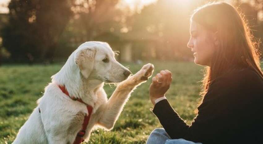 Як ефективно зняти стрес: стали відомі результати нового дослідження Як ефективно зняти стрес: стали відомі результати нового дослідження