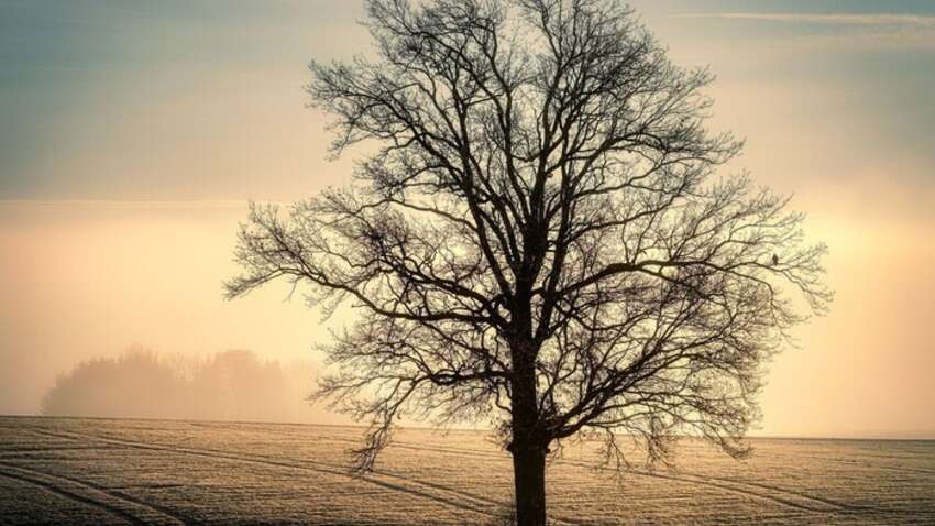 Какой церковный праздник 5 ноября: пять главных запретов этого дня Какой церковный праздник 5 ноября: пять главных запретов этого дня