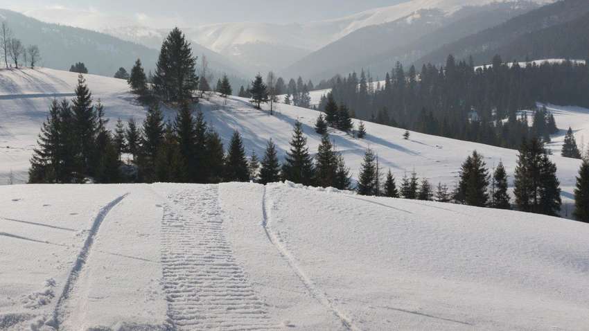 На западной Украине объявили желтый уровень опасности из-за оттепели На западной Украине объявили желтый уровень опасности из-за оттепели