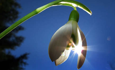 Погода в Украине: синоптик прогнозирует потепление