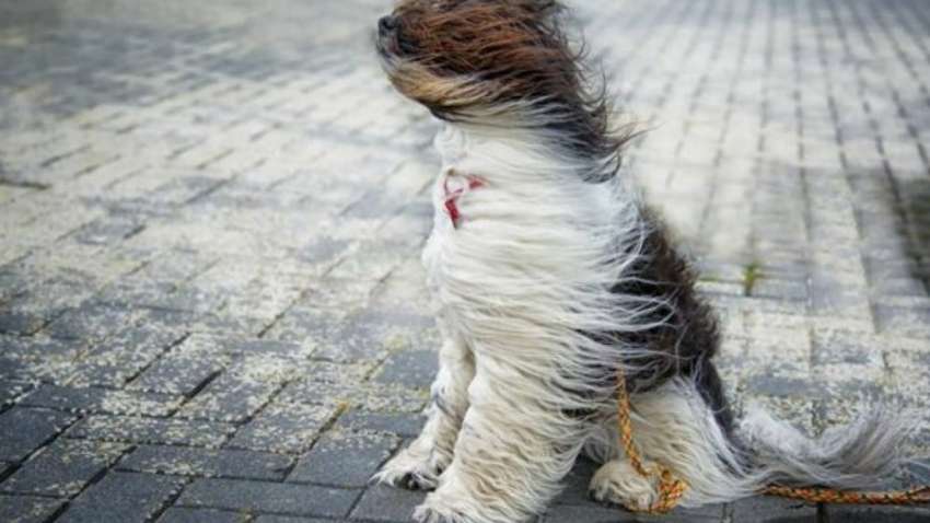 В Україні оголосили штормове попередження