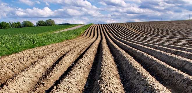 В Минагрополитики рассказали, сколько будет стоить гектар земли после открытия рынка В Минагрополитики рассказали, сколько будет стоить гектар земли после открытия рынка