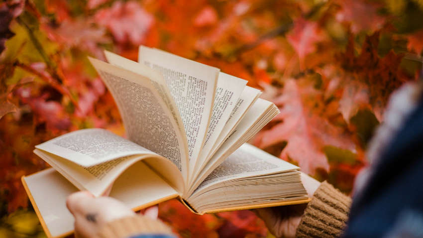 Що почитати восени: список кращих книг 2020 року