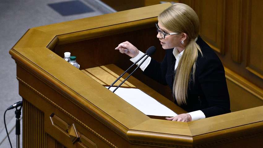 Арахамия считает “Батькивщину” “маленьким насекомым, которое летает в Раде и много жужжит"