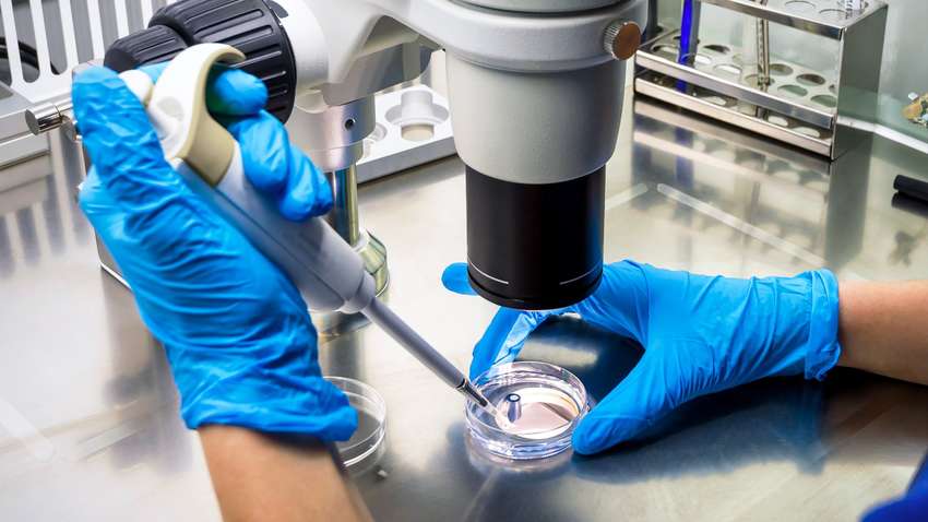 У Бразилії вчені виявили невідомий вірус