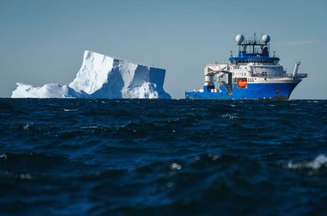 Що живе в частині океану, яка ніколи не бачила світла: вчені були шоковані, коли дізналися