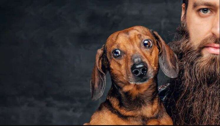 Чоловічі бороди містять більше шкідливих бактерій, ніж хутро собак