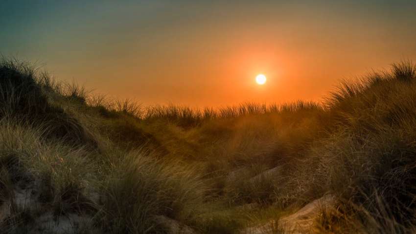 Ученые заявили, что Солнце вступило в новый период, который продлится 11 лет Ученые заявили, что Солнце вступило в новый период, который продлится 11 лет