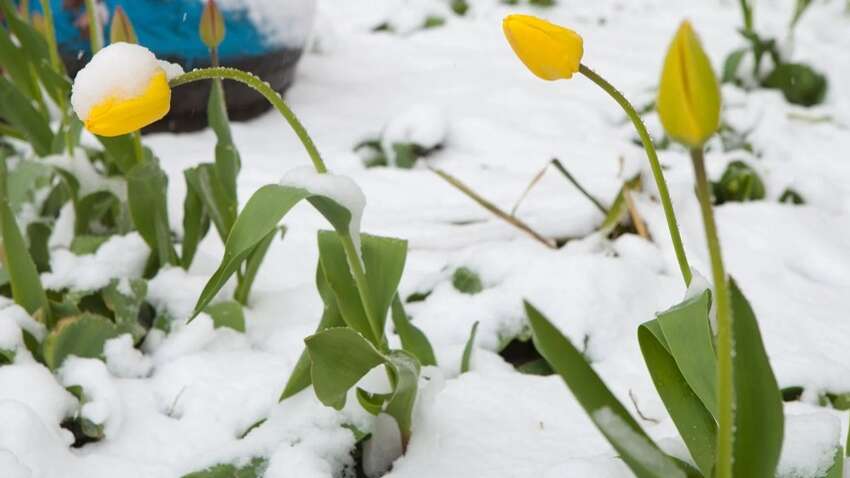 Погода в Украине кардинально ухудшится: где ожидать сильного похолодания Погода в Украине кардинально ухудшится: где ожидать сильного похолодания