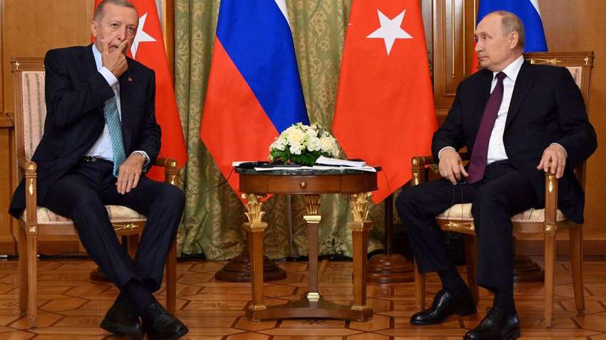 Лісний про зустріч Путіна і Ердогана: Два дикобрази, у яких в спині стирчать ножі, які вони вставляли 