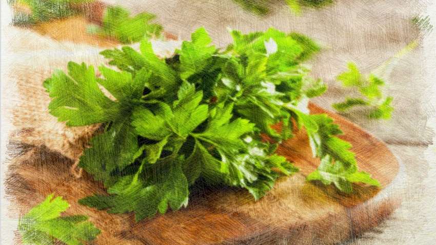 Названо кращий народний засіб для очищення нирок