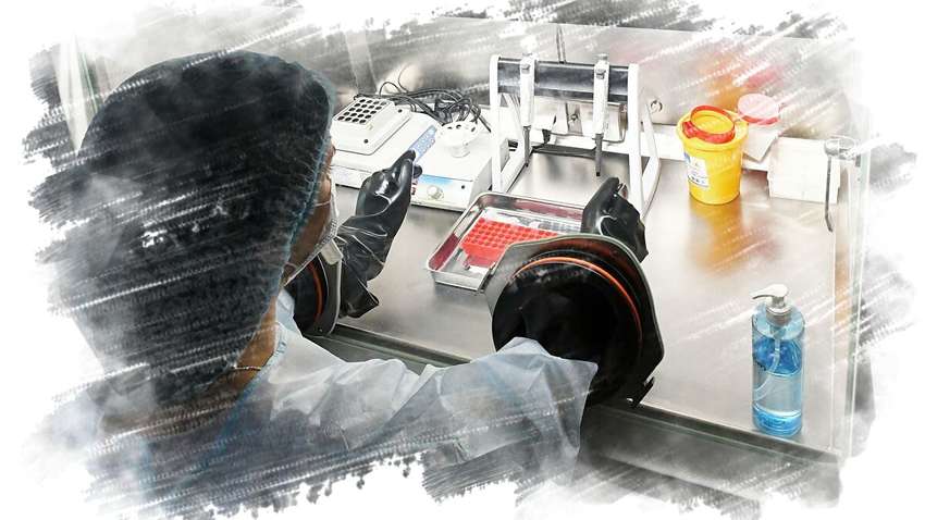 ВООЗ охарактеризувала ступінь небезпеки від бубонної чуми в Китаї 