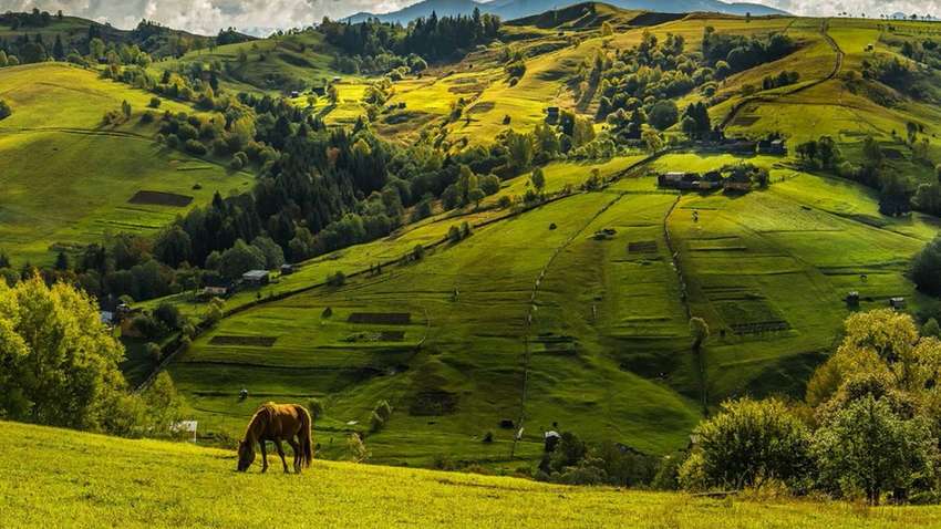 На полонині Карпат сталася трагедія: є загиблі та травмовані