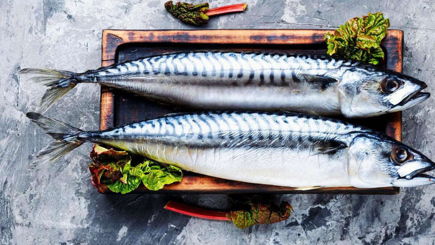 Какую недорогую рыбу стоит добавить в осенний рацион Какую недорогую рыбу стоит добавить в осенний рацион