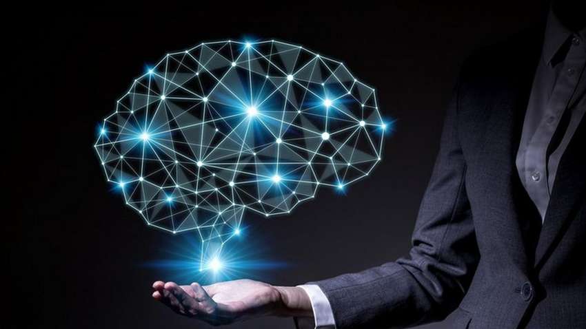 В якому віці мозок досягає піку своїх можливостей В якому віці мозок досягає піку своїх можливостей