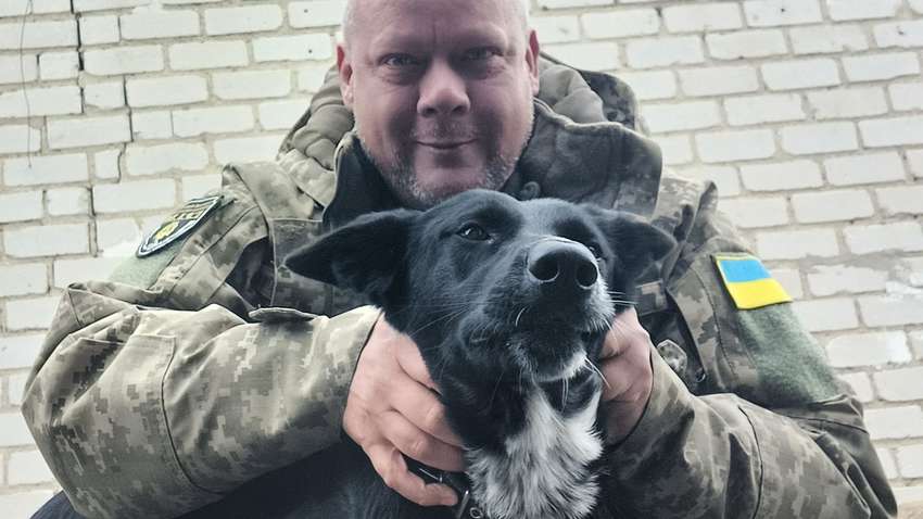 Стало известно, при каком сценарии враг без сопротивления мог дойти до Киева, а потом до Львова 