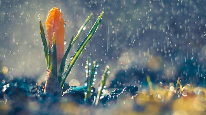 Погода в Україні на 7 травня: в які області прийдуть грози