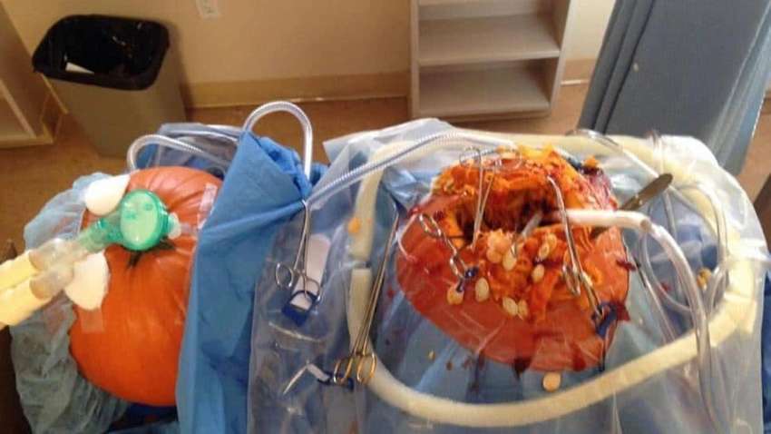 Хеллоуїн по-медичному: опубліковані фото гарбузів - портретів лікарів