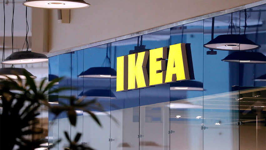 Стулья IKEA из незаконной украинской древесины: появилась реакция компании