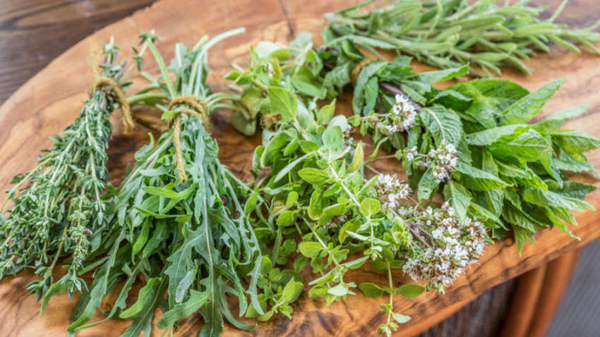 Трави, які можуть поліпшити травлення