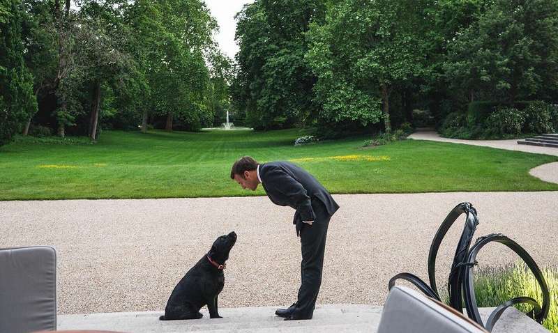 Пес президента Франции обратился к гражданам с серьезным заявлением (видео)