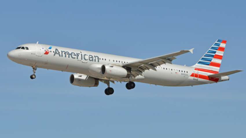 Великий птах зіткнувся з літаком та пошкодив двигун: пасажири вважали, що помруть 